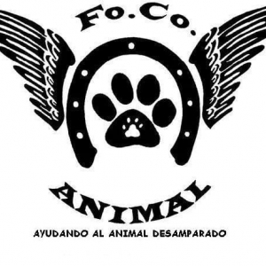 Fo.Co. Animal