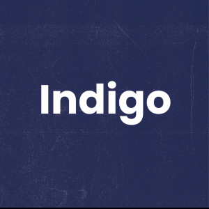 Indigo store