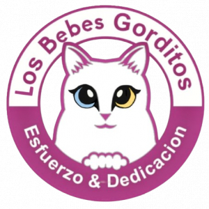 Los Bebés Gorditos